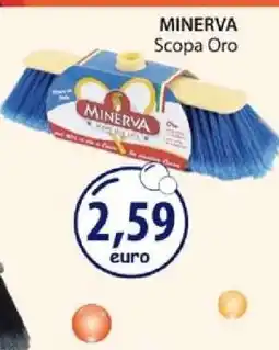 Acqua & Sapone MINERVA Scopa Oro offerta