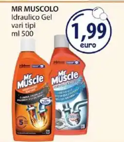 Acqua & Sapone MR MUSCOLO offerta
