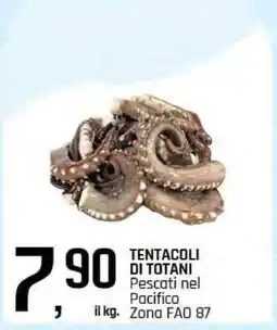 Famila Tentacoli di totani offerta