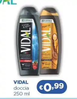 Acqua & Sapone VIDAL doccia 250 ml offerta