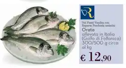 Conad Orata offerta