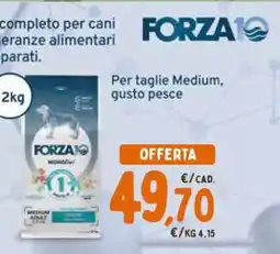 Conad FORZA10 Medium Adult offerta