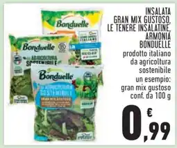 Conad INSALATA GRAN MIX GUSTOSO, LE TENERE INSALATINE, ARMONIA BONDUELLE offerta
