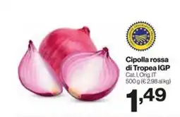 In'S Mercato Cipolla rossa di Tropea IGP offerta
