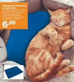 In'S Mercato Tappetino gel rinfrescante per gatti e cani offerta
