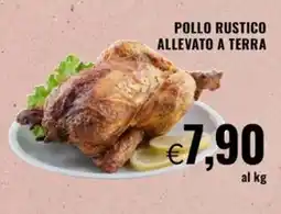 Famila Market Pollo rustico allevato a terra offerta