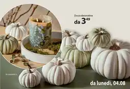 NKD Zucca decorativa offerta