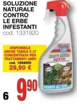 Mondo Brico FLORTIS soluzione naturale contro le erbe infestanti offerta