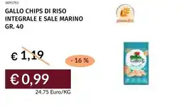 Prezzemolo e Vitale Gallo chips di riso integrale e sale marino offerta