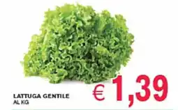 èccoMI Lattuga gentile offerta
