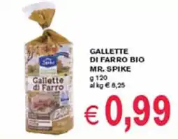 èccoMI Gallette di farro bio MR. SPIKE offerta
