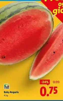 Lidl Baby Anguria offerta