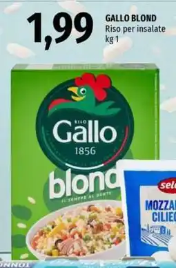 Famila GALLO BLOND offerta