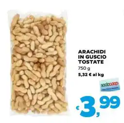 Coop Arachidi in Guscio Tostate offerta