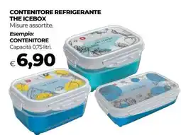 Coop CONTENITORE REFRIGERANTE THE ICEBOX offerta