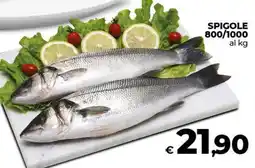 Coop Spigole offerta