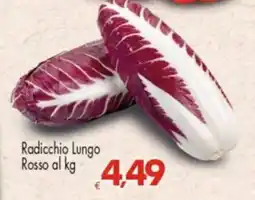Despar Radicchio Lungo Rosso offerta