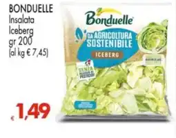 Despar BONDUELLE Insalata Iceberg offerta