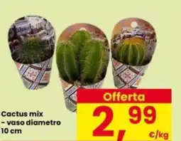 Interspar Cactus mix - vaso diametro offerta
