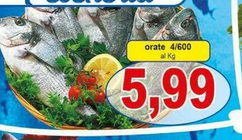 Pewex Orata offerta