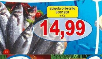 Pewex Pesce offerta
