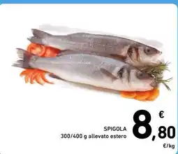 Spazio Conad Spigola offerta