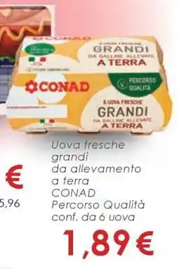 Conad Uova fresche grandi offerta