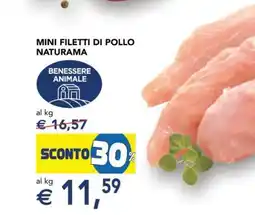 Esselunga Mini Filetti di Pollo Naturama offerta
