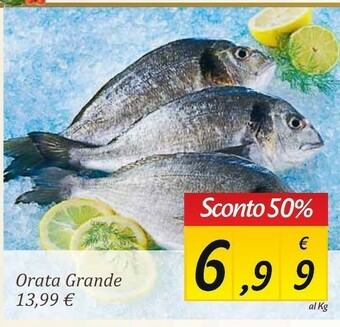 Carrefour Market Orata offerta