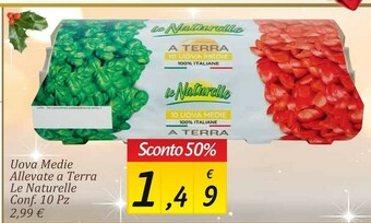 Carrefour Market Uova offerta