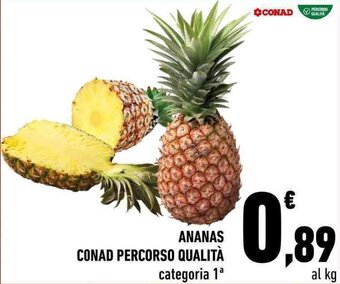 Conad Conad Percorso Qualità Ananas offerta
