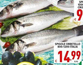 Iper Triscount Pesce offerta