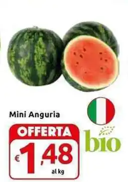 Carrefour Express Mini Anguria offerta