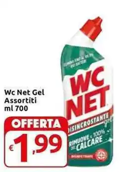 Carrefour Express Wc Net Gel Assortiti offerta