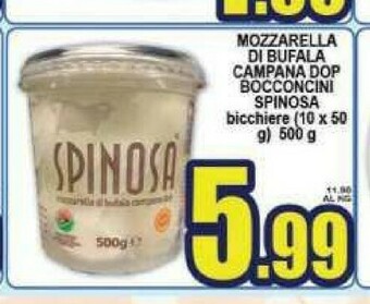 Sacoph Mozzarella di bufala offerta