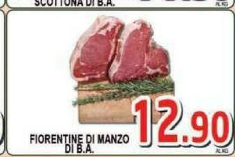 Sacoph Carne offerta