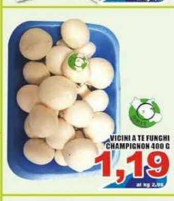 Sacoph Funghi champignon offerta