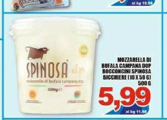 Sacoph Mozzarella di bufala offerta