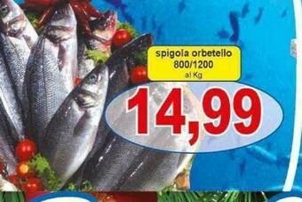 Pewex Pesce offerta