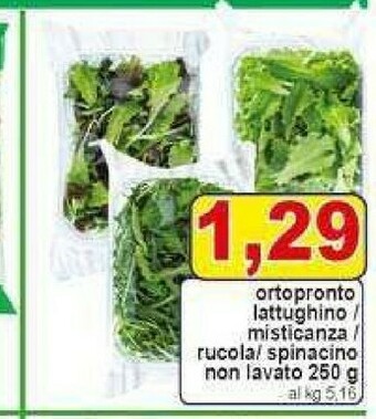 Pewex Insalata offerta