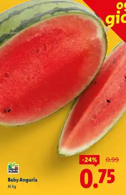 Lidl Baby Anguria offerta