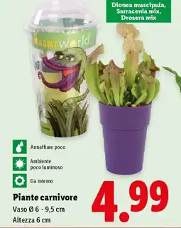 Lidl Piante carnivore offerta