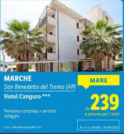 Lidl Hotel Canguro offerta