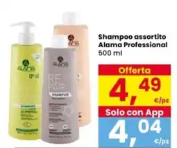 Interspar Shampoo assortito Alama Professional offerta