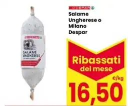 Interspar Salame Ungherese o Milano Despar offerta