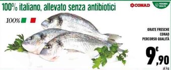 Conad Conad Percorso Qualità Orate Fresche offerta