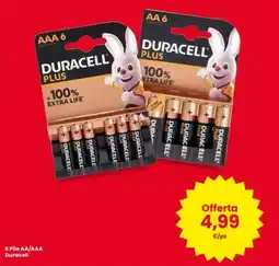 Interspar 6 Pile AA/AAA Duracell offerta