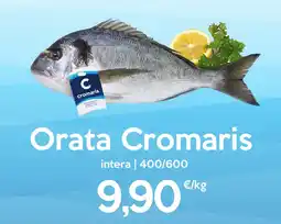 Iper Tosano Orata Cromaris offerta