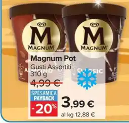 Carrefour Magnum Pot offerta