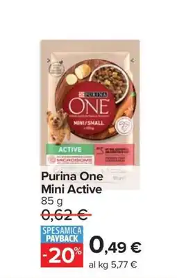 Carrefour Purina One Mini Active offerta